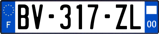 BV-317-ZL