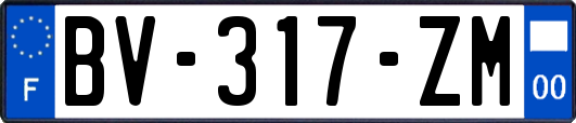 BV-317-ZM