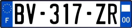 BV-317-ZR