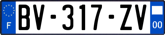 BV-317-ZV