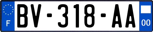 BV-318-AA