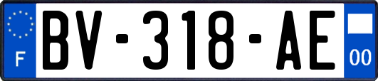 BV-318-AE