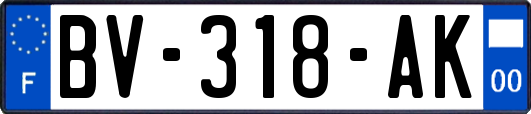 BV-318-AK