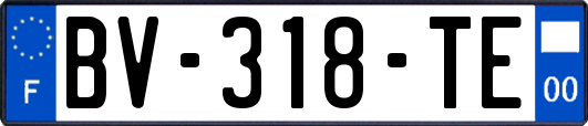 BV-318-TE