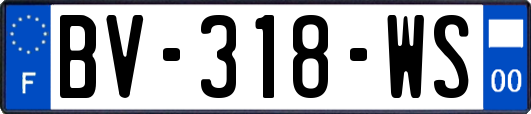 BV-318-WS