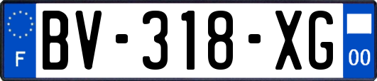 BV-318-XG