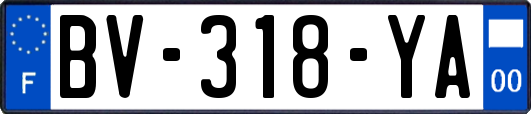 BV-318-YA