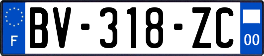 BV-318-ZC