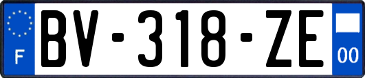 BV-318-ZE