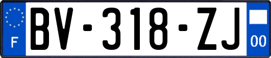 BV-318-ZJ