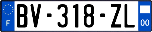 BV-318-ZL