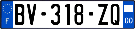 BV-318-ZQ