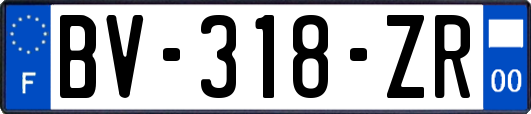 BV-318-ZR