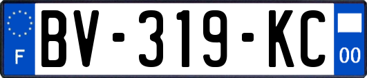 BV-319-KC