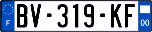 BV-319-KF