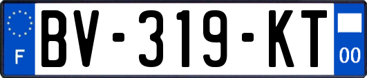 BV-319-KT