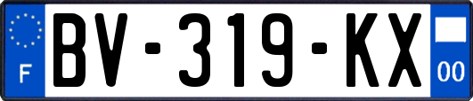 BV-319-KX