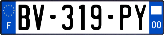 BV-319-PY