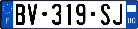 BV-319-SJ