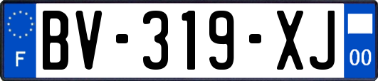 BV-319-XJ