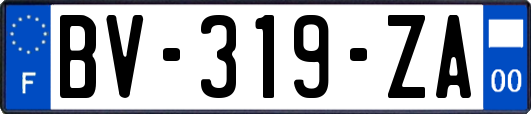 BV-319-ZA