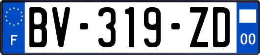 BV-319-ZD