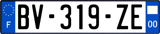 BV-319-ZE