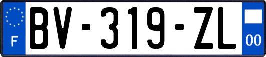 BV-319-ZL