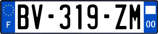 BV-319-ZM