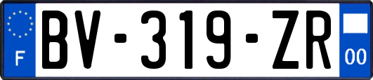 BV-319-ZR