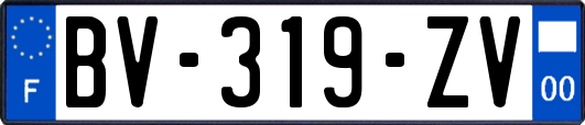 BV-319-ZV