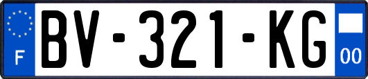 BV-321-KG