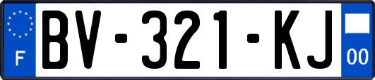 BV-321-KJ