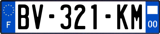 BV-321-KM