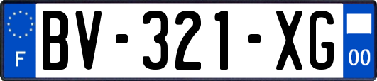 BV-321-XG