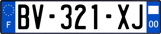 BV-321-XJ