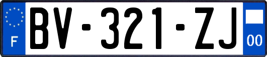 BV-321-ZJ