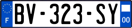 BV-323-SY