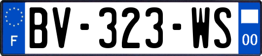 BV-323-WS