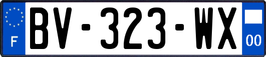 BV-323-WX