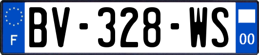 BV-328-WS