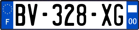 BV-328-XG