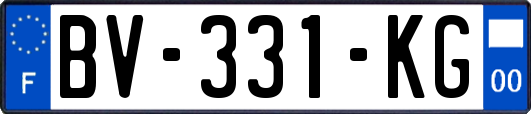 BV-331-KG