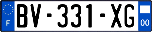 BV-331-XG