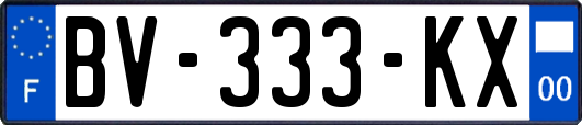 BV-333-KX