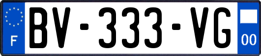 BV-333-VG