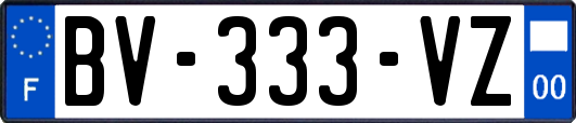 BV-333-VZ