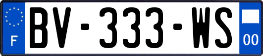 BV-333-WS