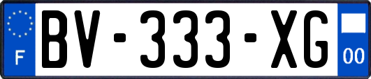 BV-333-XG