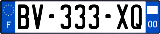 BV-333-XQ